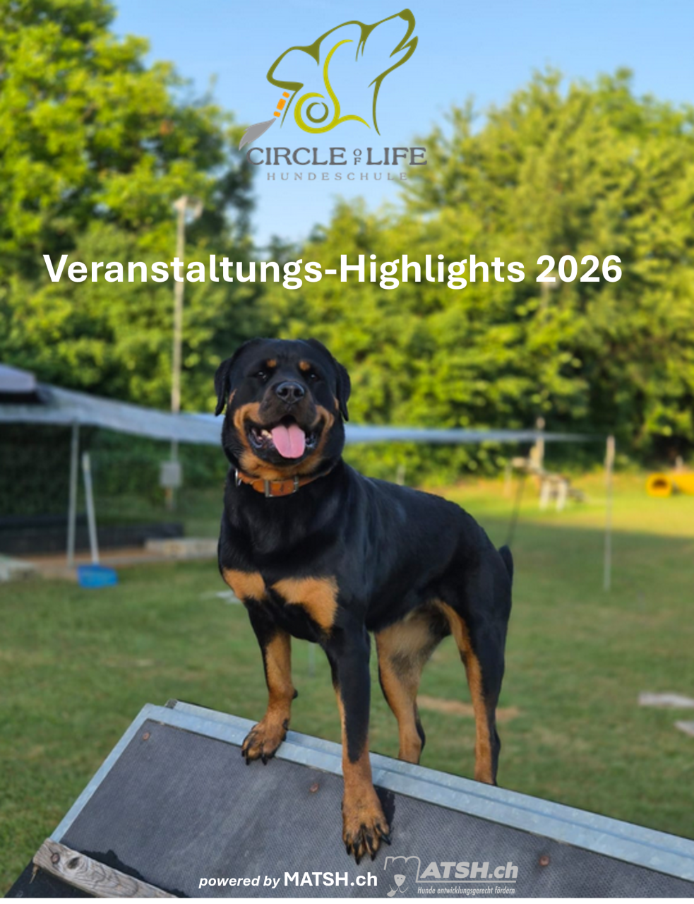 Veranstaltungshighlights
