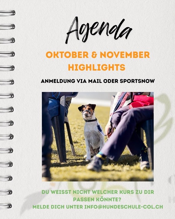Agenda